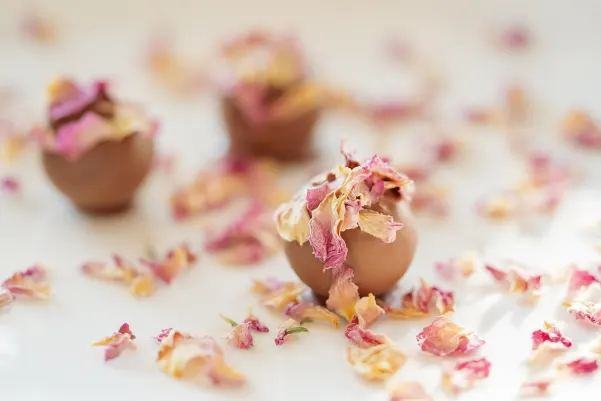 Bet24star Kazino Android/iOS programa